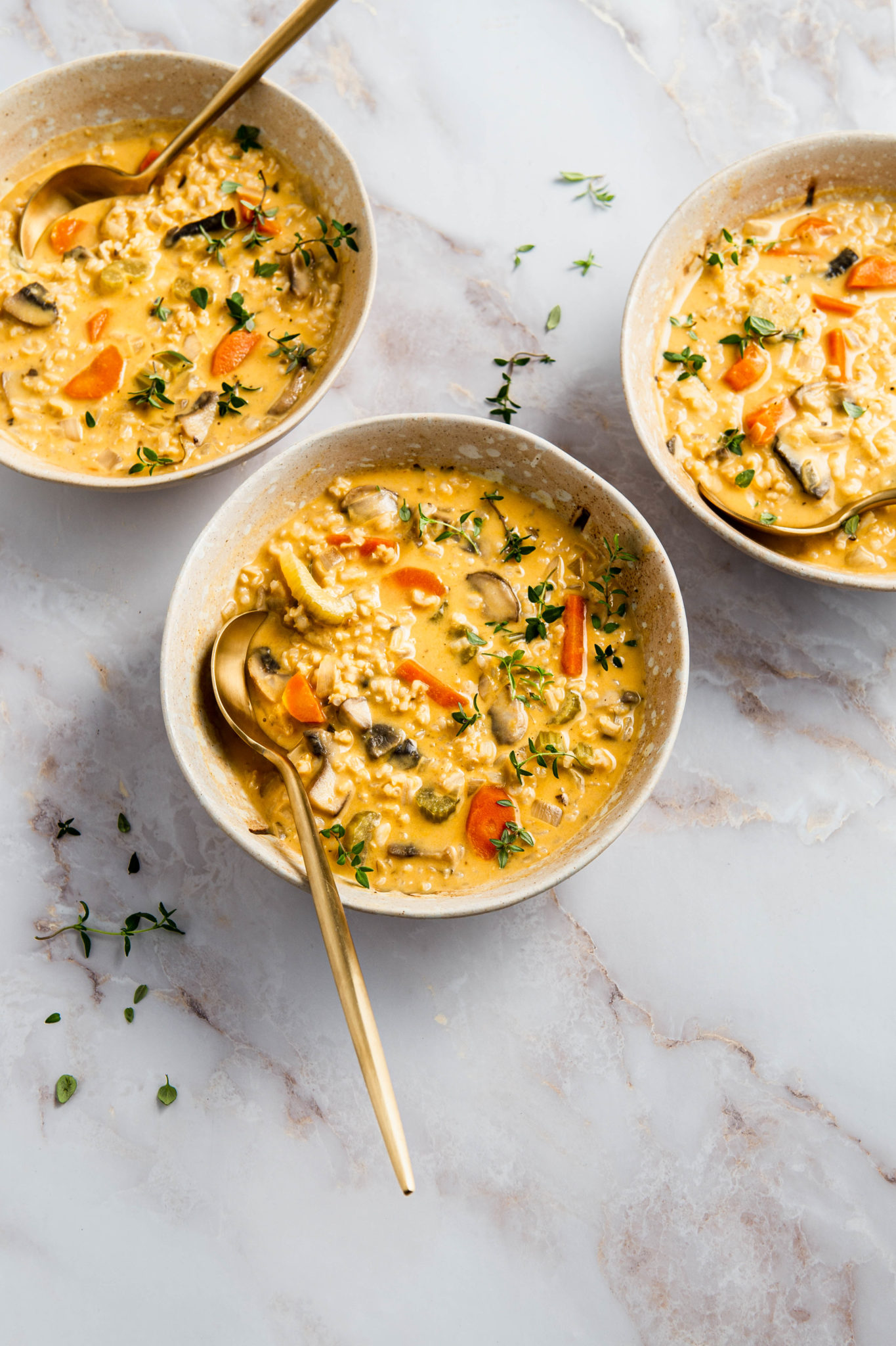 vegan creamy rice soup,natteats vegan creamy rice soup with vegetables