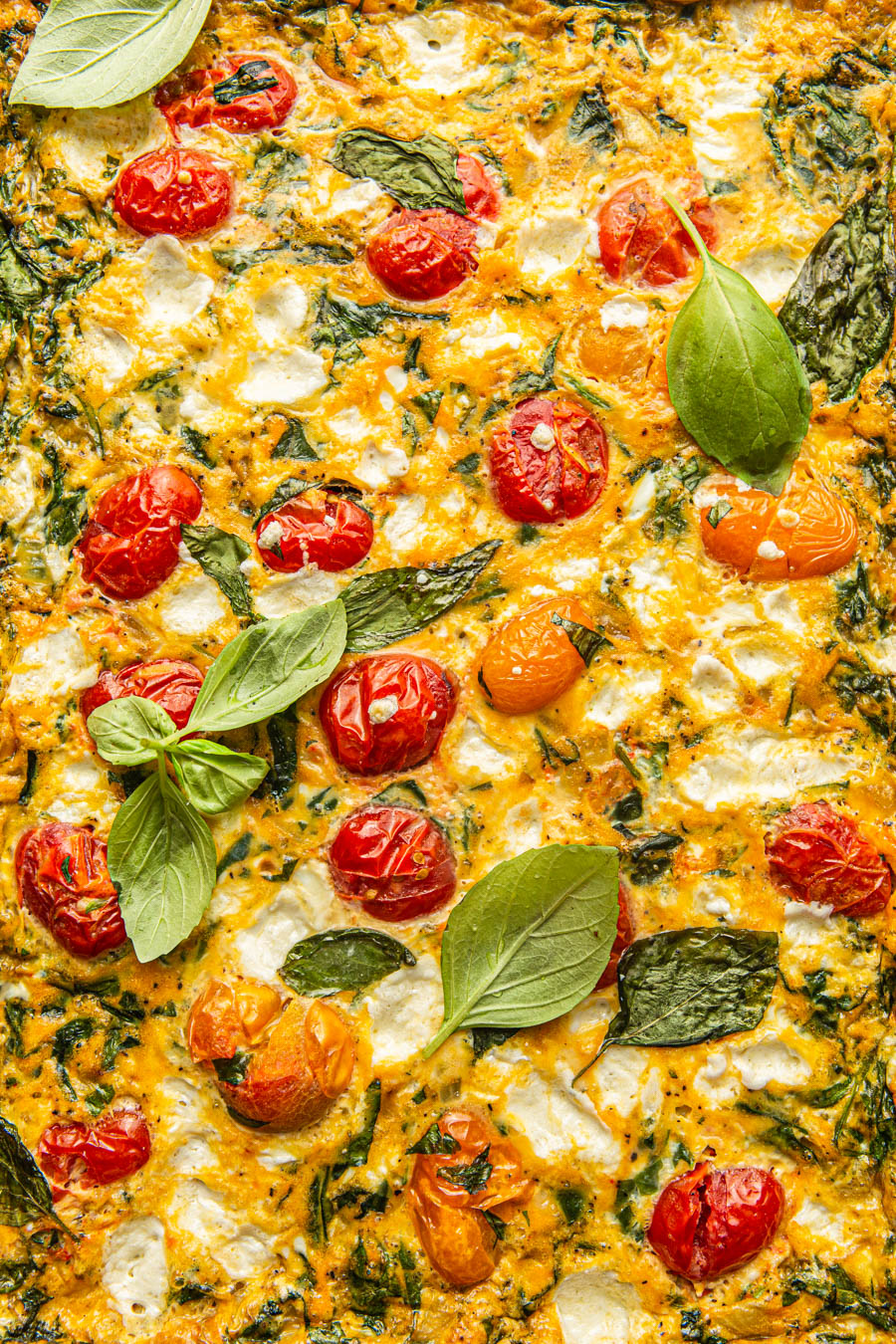 close up Frittata with cherry tomatoes mozzarella and basil
