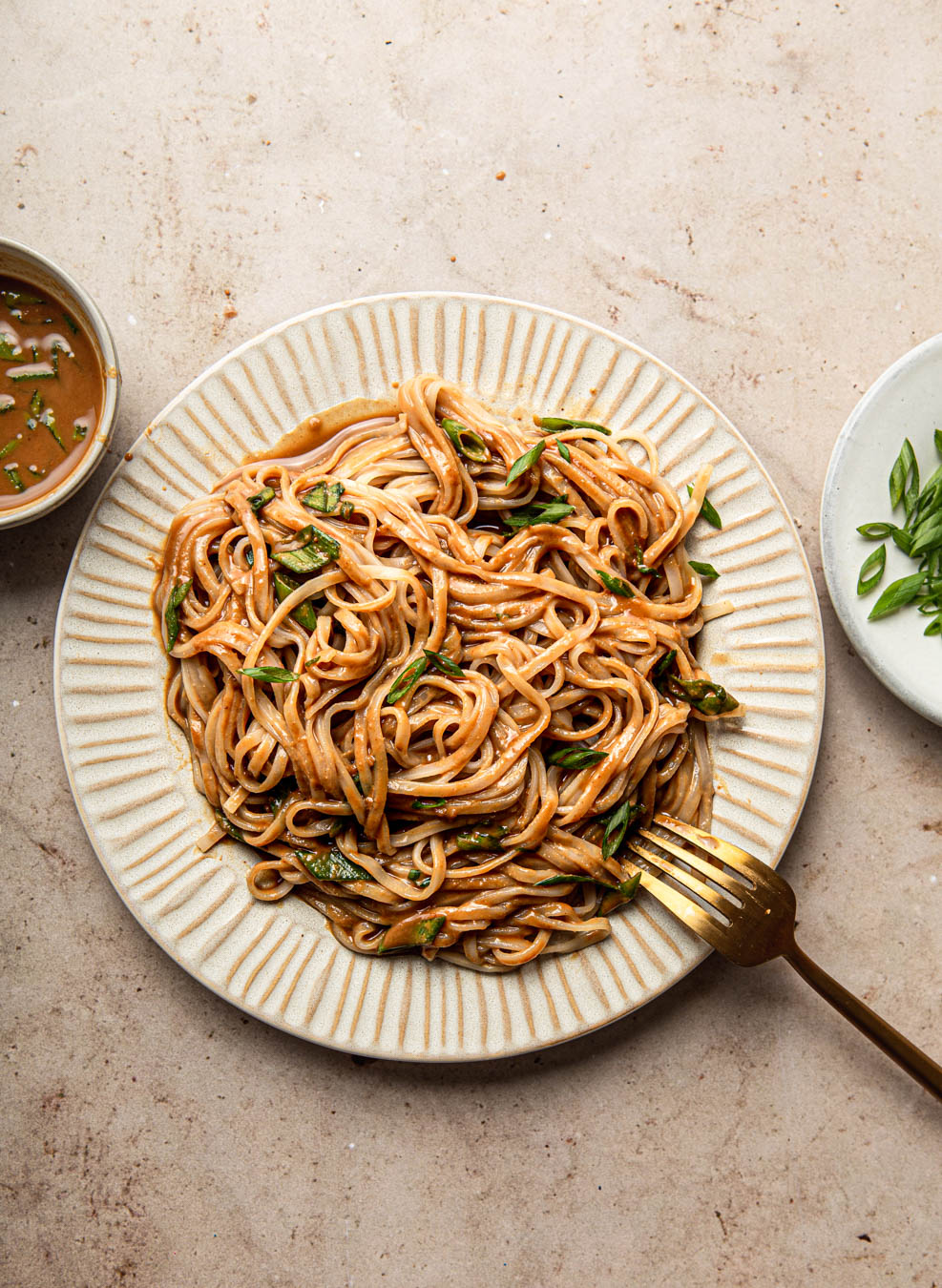 Easy Peanut Sauce Noodles with green onions food photography